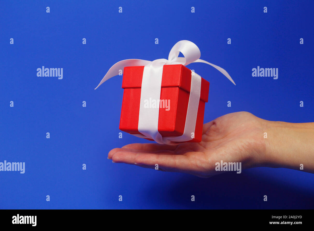 Confezione regalo rossa con un fiocco bianco su sfondo blu. La scatola è chiusa da un coperchio. Dono vola in aria. Al di sotto del dono è una femmina di mano. Concetto. Giv Foto Stock