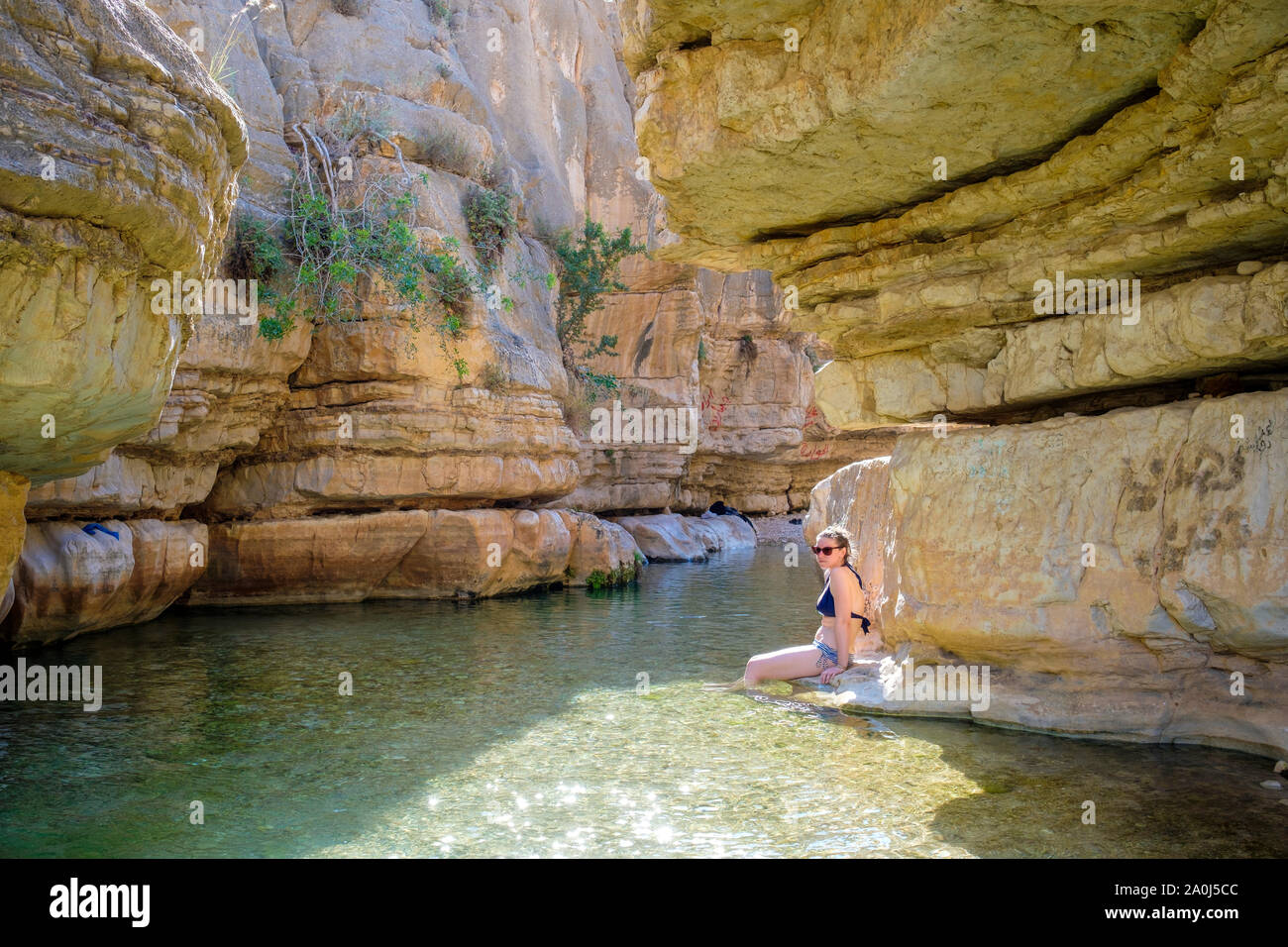 Palestina, West Bank, Gerico. Ein Quelt molla e piscine di acqua fresca entro il Wadi Quelt, Prat River Gorge. (MR) Foto Stock