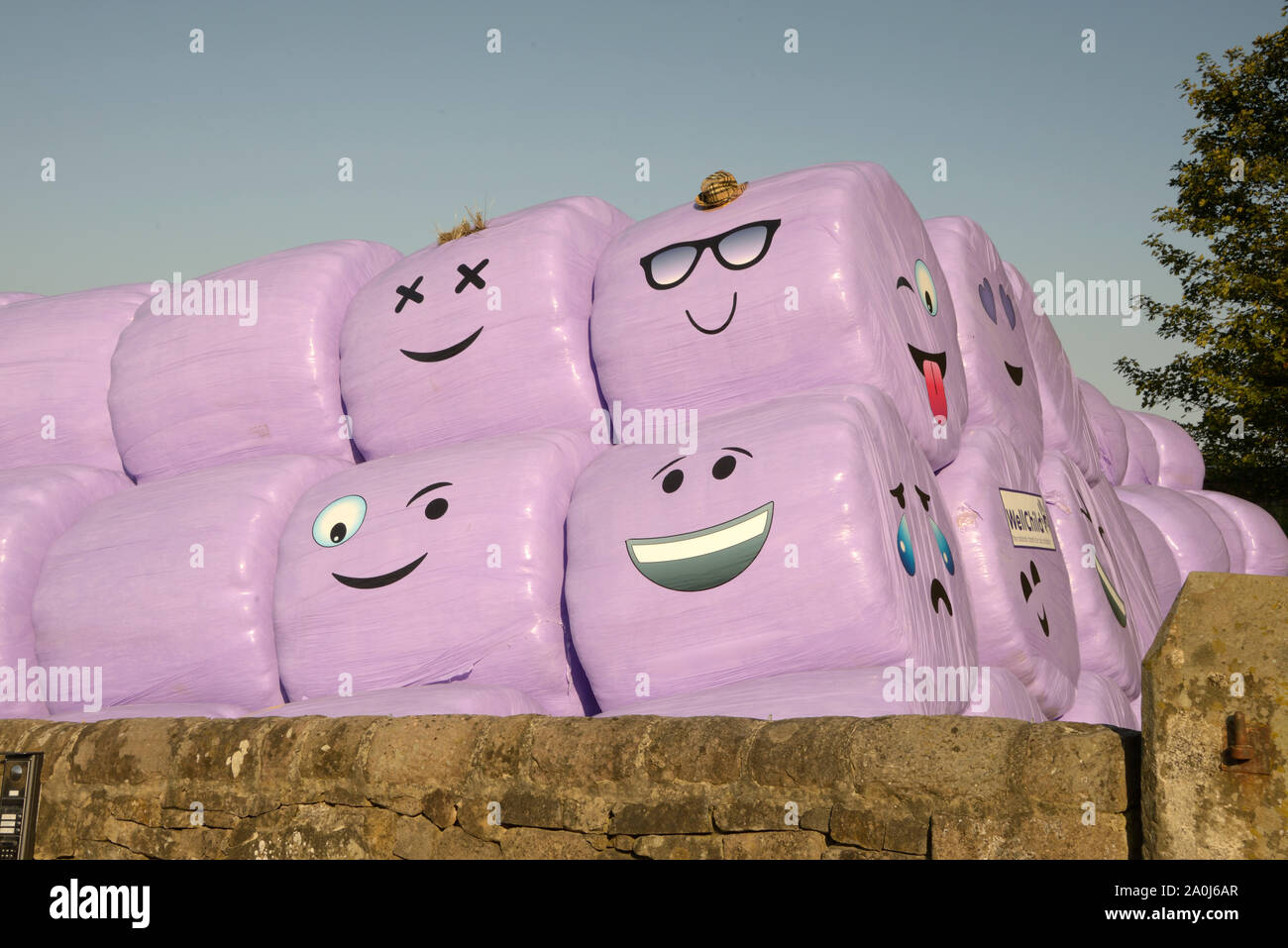 Balle di fieno, con facce buffe, rosa incarto. Foto Stock