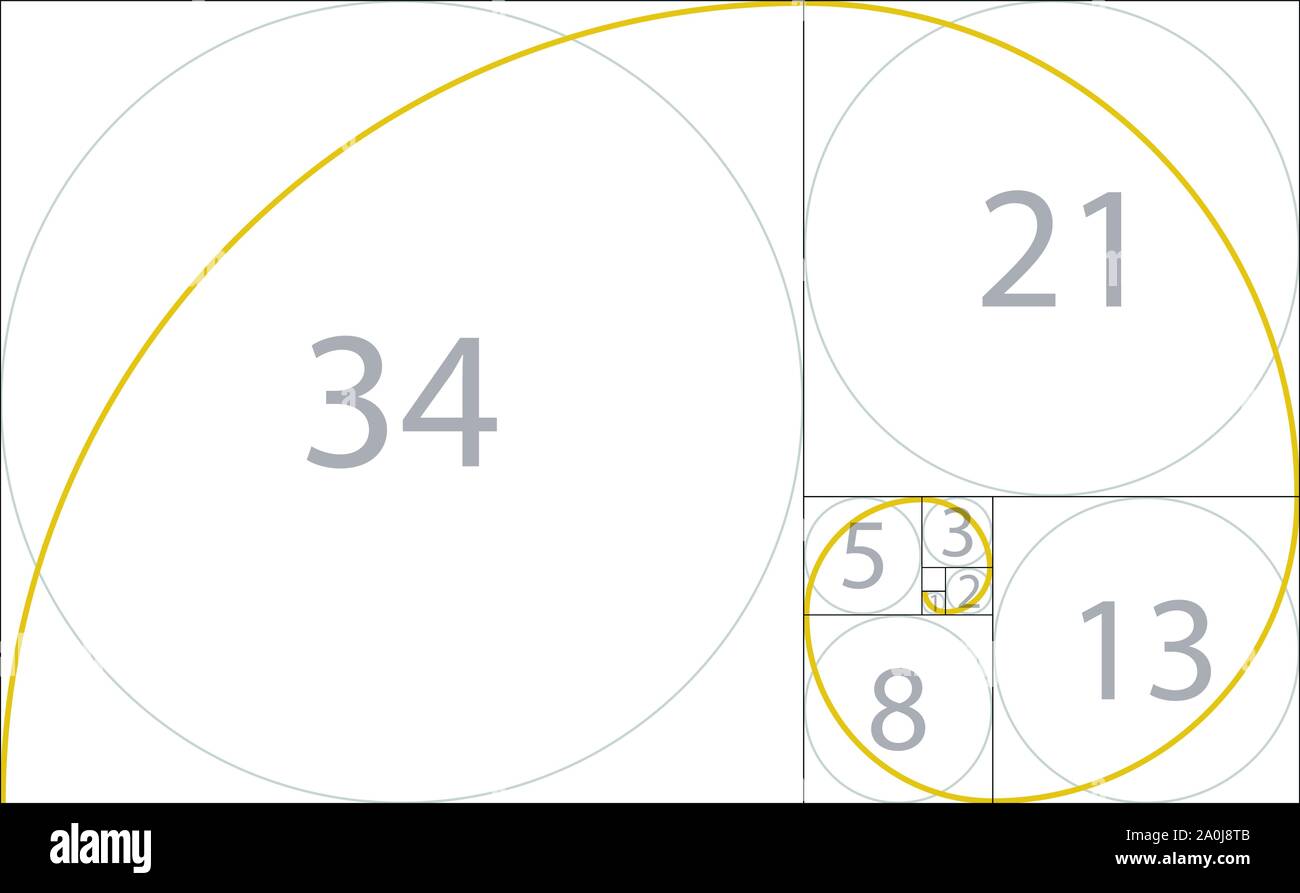 Rapporto Aureo concetto geometrico. Spirale di Fibonacci. Illustrazione Vettoriale Illustrazione Vettoriale