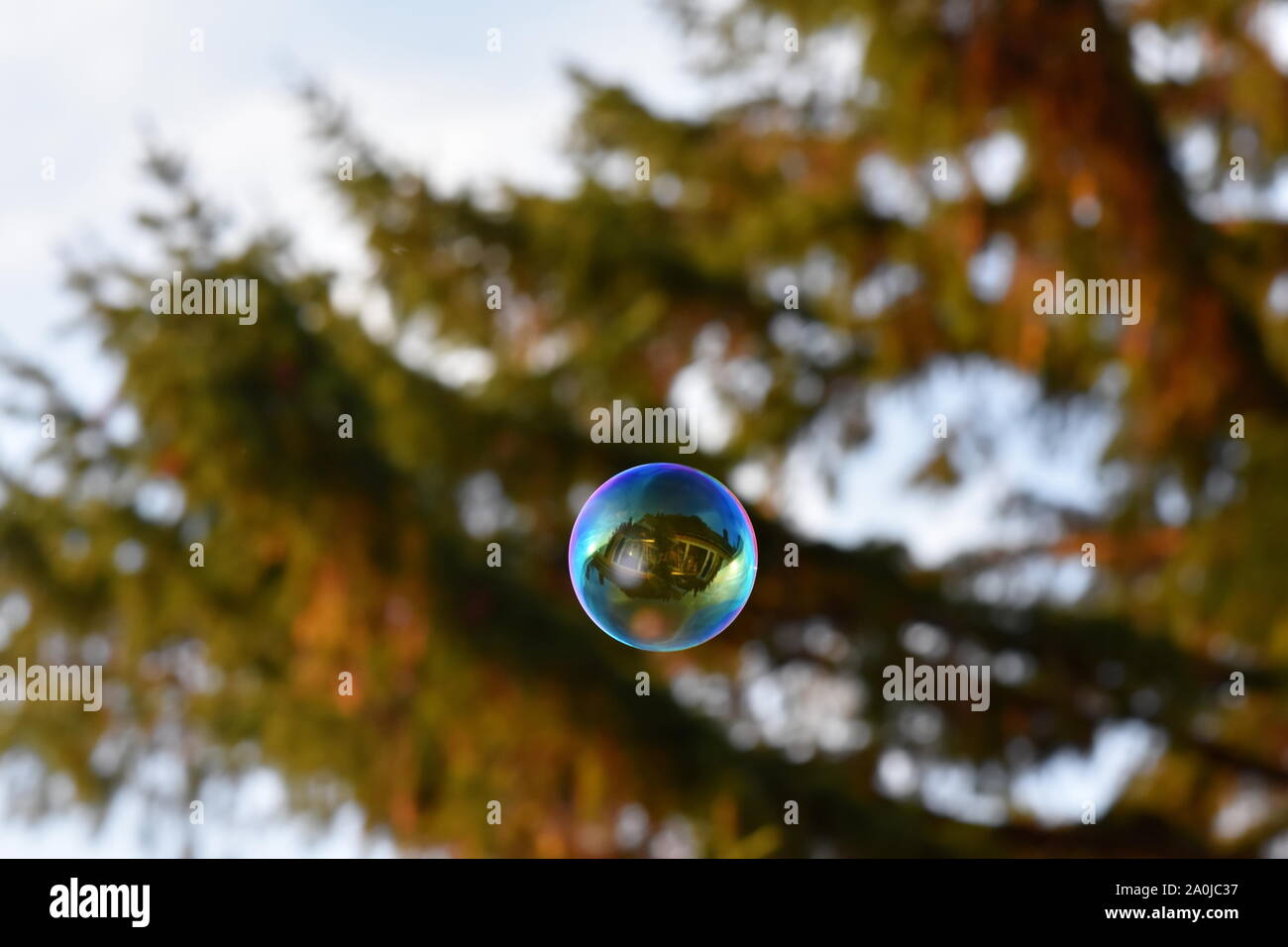 Una sola bolla di sapone con la riflessione di una casa galleggianti in aria accanto a un albero Foto Stock