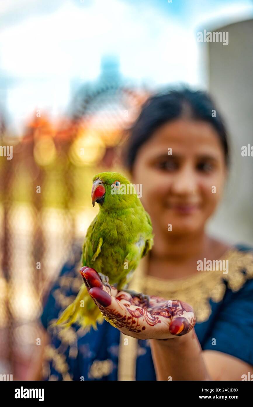 Ragazza con henna tattoo tenendo un pappagallo verde Foto Stock