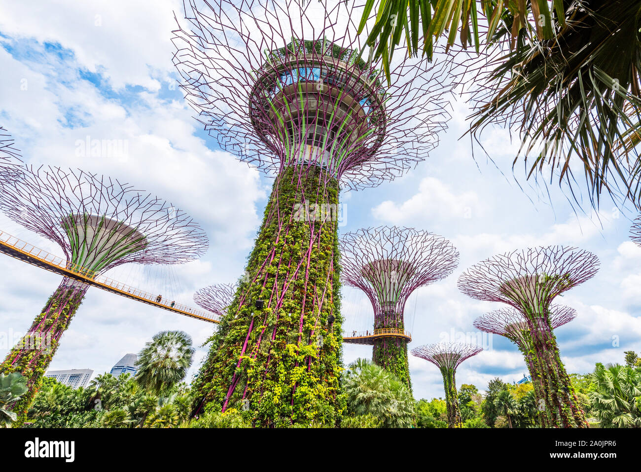 SINGAPORE - Novembre 11, 2018: Supertree grove in giardino dall'alloggiamento. Vista dal basso Foto Stock