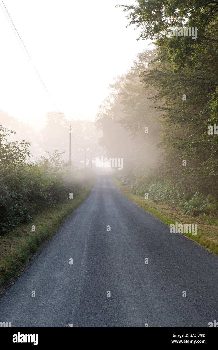 Nebbia di mattina e sunrise su una strada senza nome vicino Ringshall Ashridge, boschi, Hertfordshire, xx Settembre 2019 Foto Stock