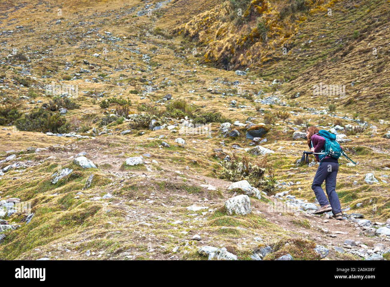 Il Salkantay trek in Perù (talvolta denominato Salcantay trail) è l'alternativa più popolare - Machu Picchu - offre agli escursionisti un incredibilmente diversificata esperienza di trekking, è relativamente facile accesso da Cusco e a differenza del classico Inca Trail, non vi sono limitazioni di permessi. Il sentiero soggiorni attraverso incredibili paesaggi dove la pianura giungla dà modo di highland impostazioni alpino e montagne ghiacciate, la più imponente delle quali è il Nevada Salkantay. Foto Stock