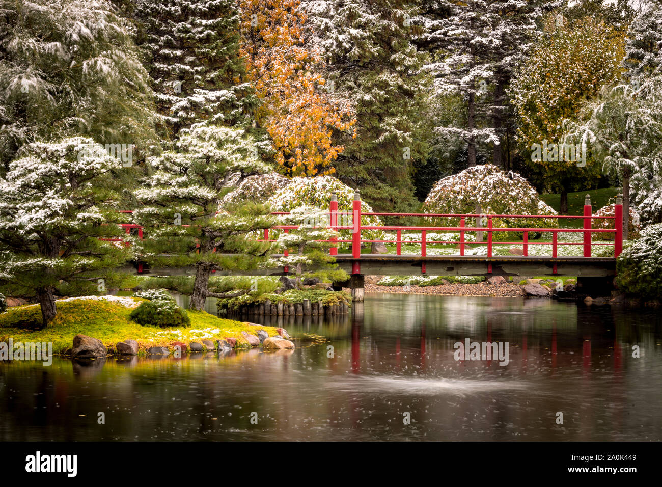 Giardino giapponese a Normandale Community College in Bloomington, Minnesota durante un autunno di neve. Foto Stock