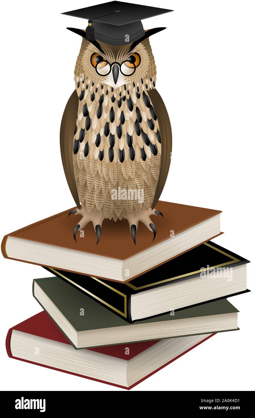 Owl con graduazione hat oltre l'illustrazione di libri Illustrazione Vettoriale
