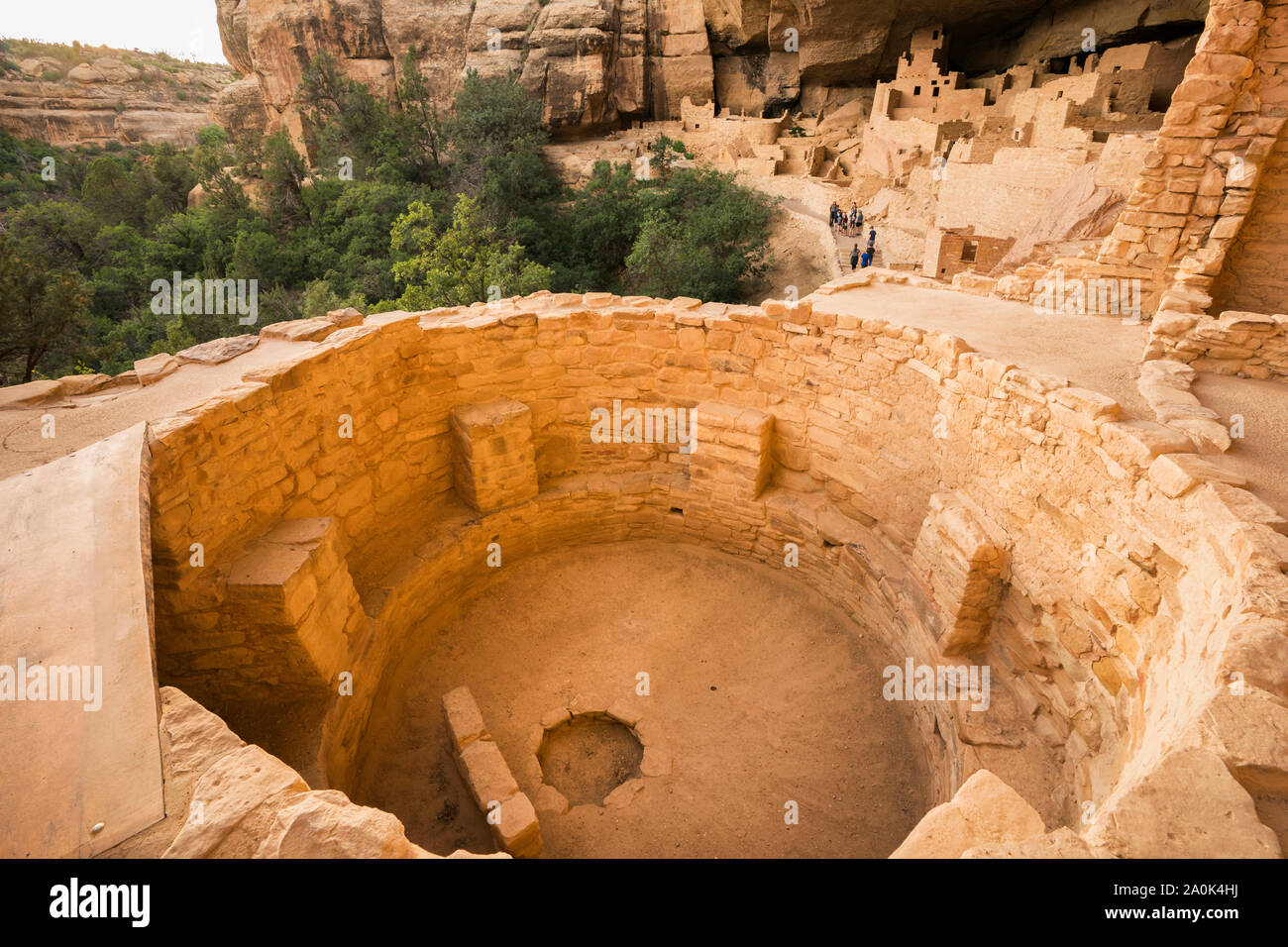 Kiva a Cliff Palace, uno degli antichi Pueblo (Anasazi) cliff dimora che fu abitata fino al XIII secolo, Mesa Verde National Park, COLORADO, Stati Uniti d'America Foto Stock
