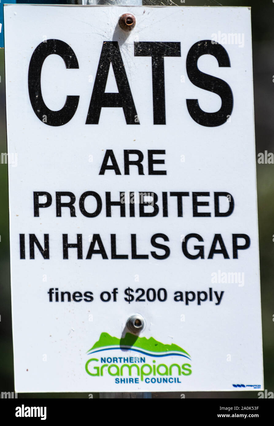 Halls Gap, Victoria, Australia - 6 marzo 2017. " Gatti sono vietate in Halls Gap' segno. Foto Stock