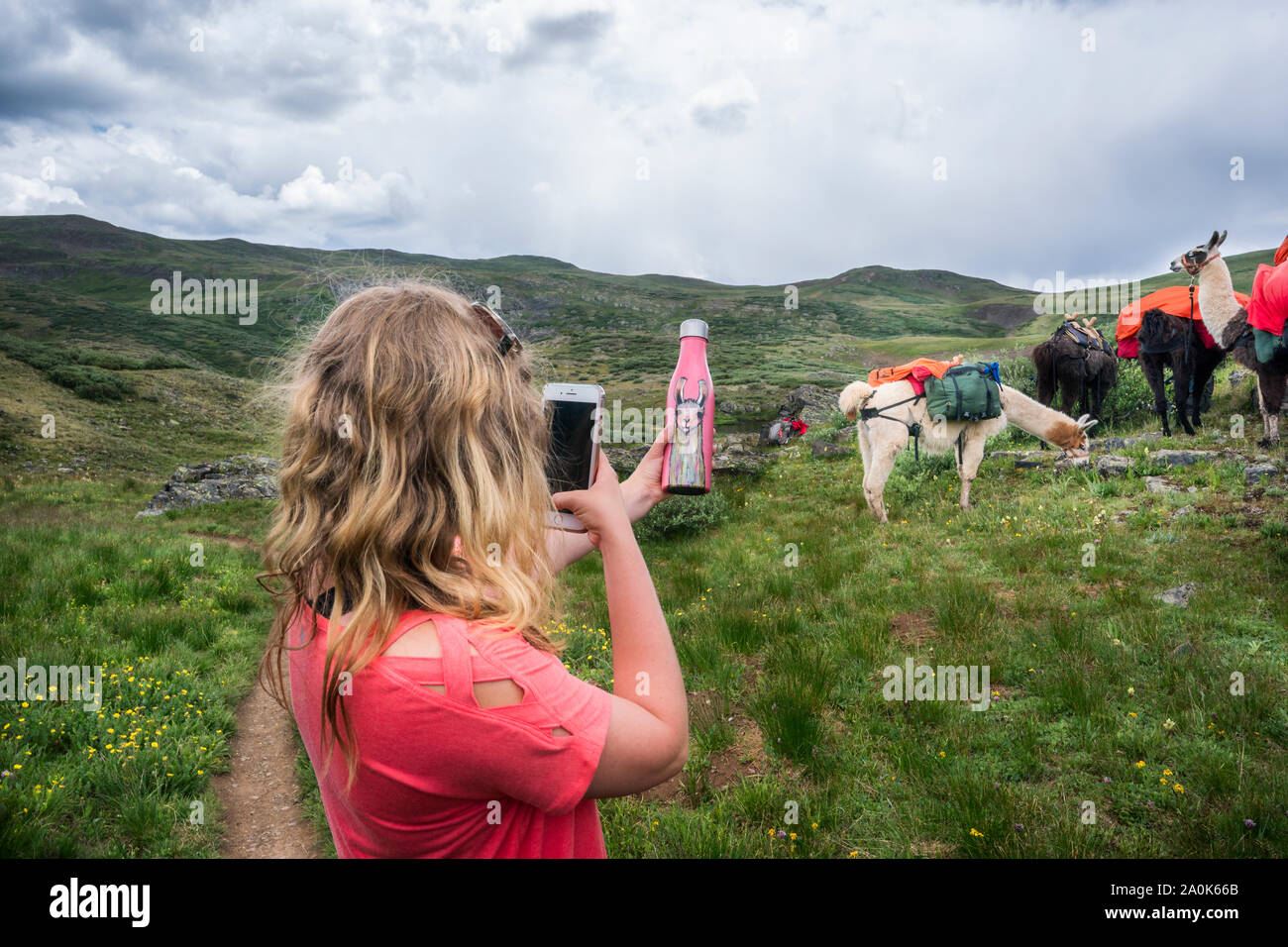 Teenage ragazza bionda fotografie lei llama di acqua in bottiglia con real llama al di là in San Juan Mountains, Colorado Foto Stock