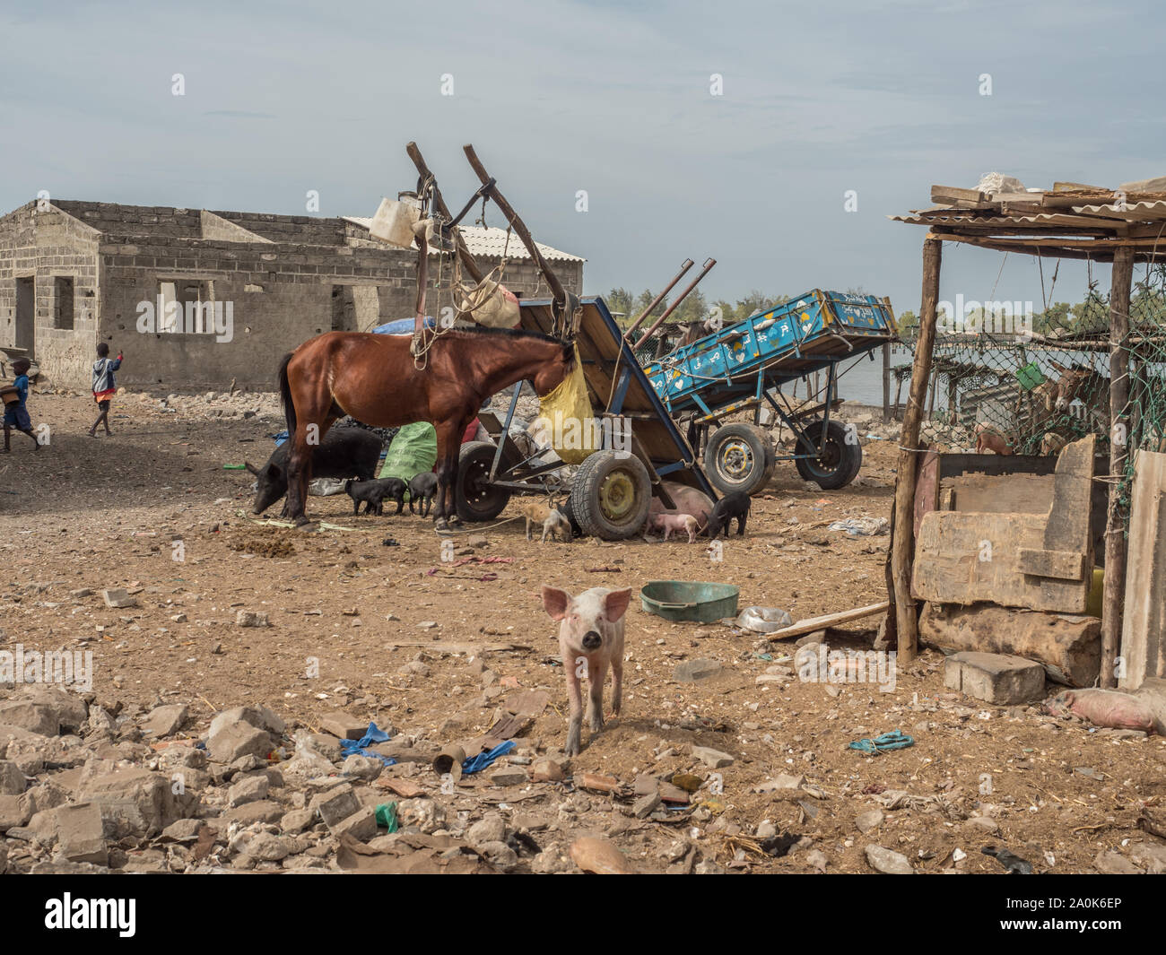 Joal-Fadiouth, Senegal - Gennaio 24, 2019: alcuni carrelli sono in piedi e cavallo sul cortile pn isola Joal-Fadiouth. Città e comune è in Thi Foto Stock