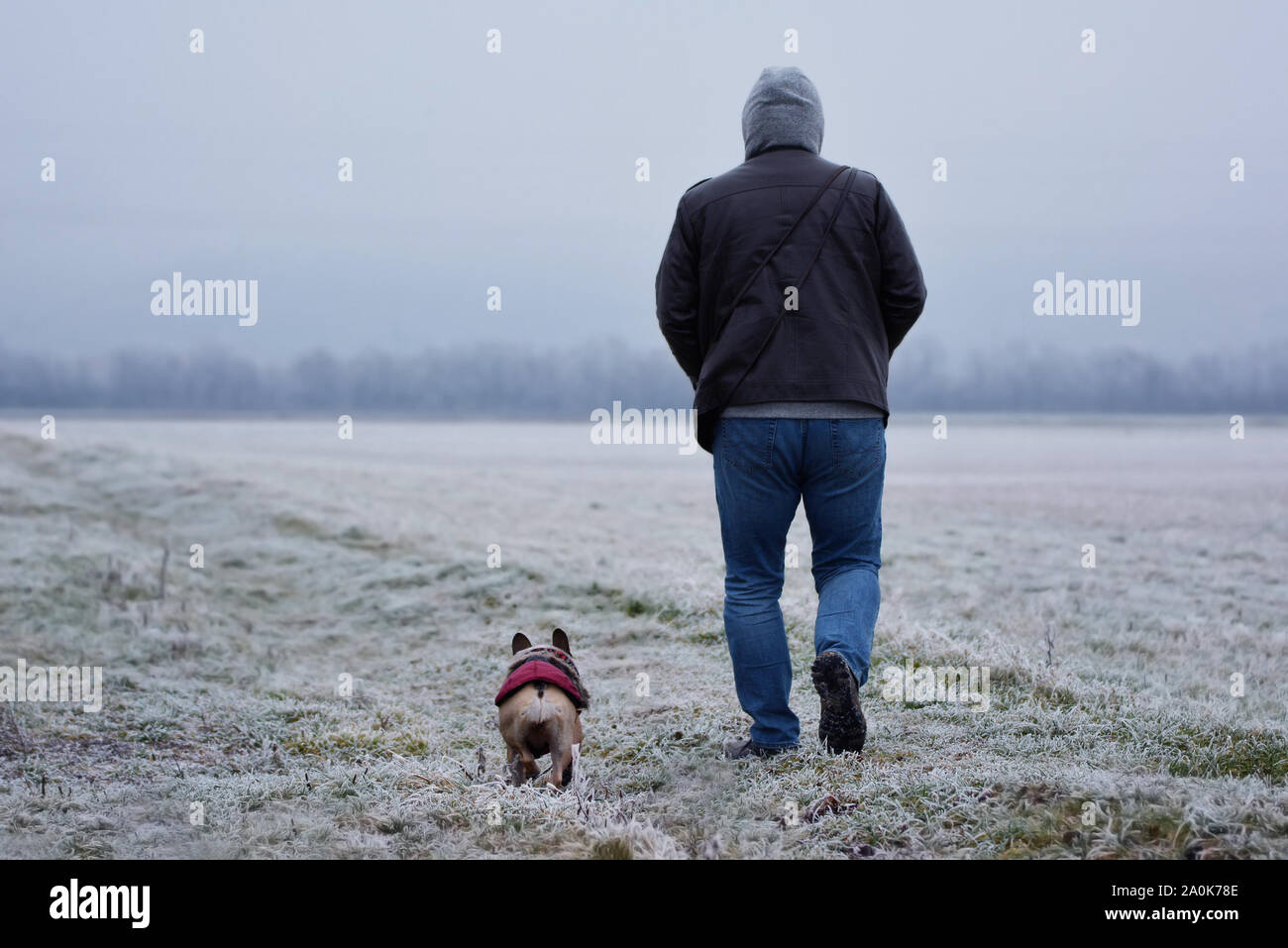Vista dal lato posteriore del uomo a camminare il suo piccolo cane indossando un cappotto invernale in frosty campi paesaggio invernale Foto Stock