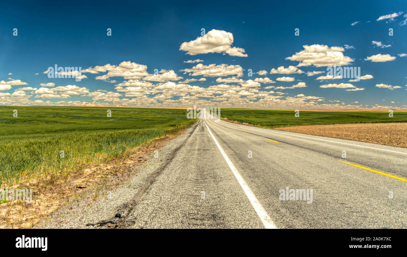 Strada Statale 12 diritta come una freccia in Eastern Washington. Foto Stock