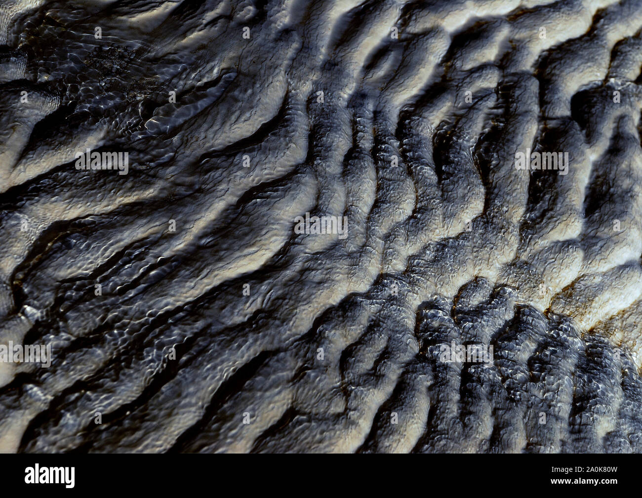 Texture di massa di Pamukkale piscine termali di notte Foto Stock