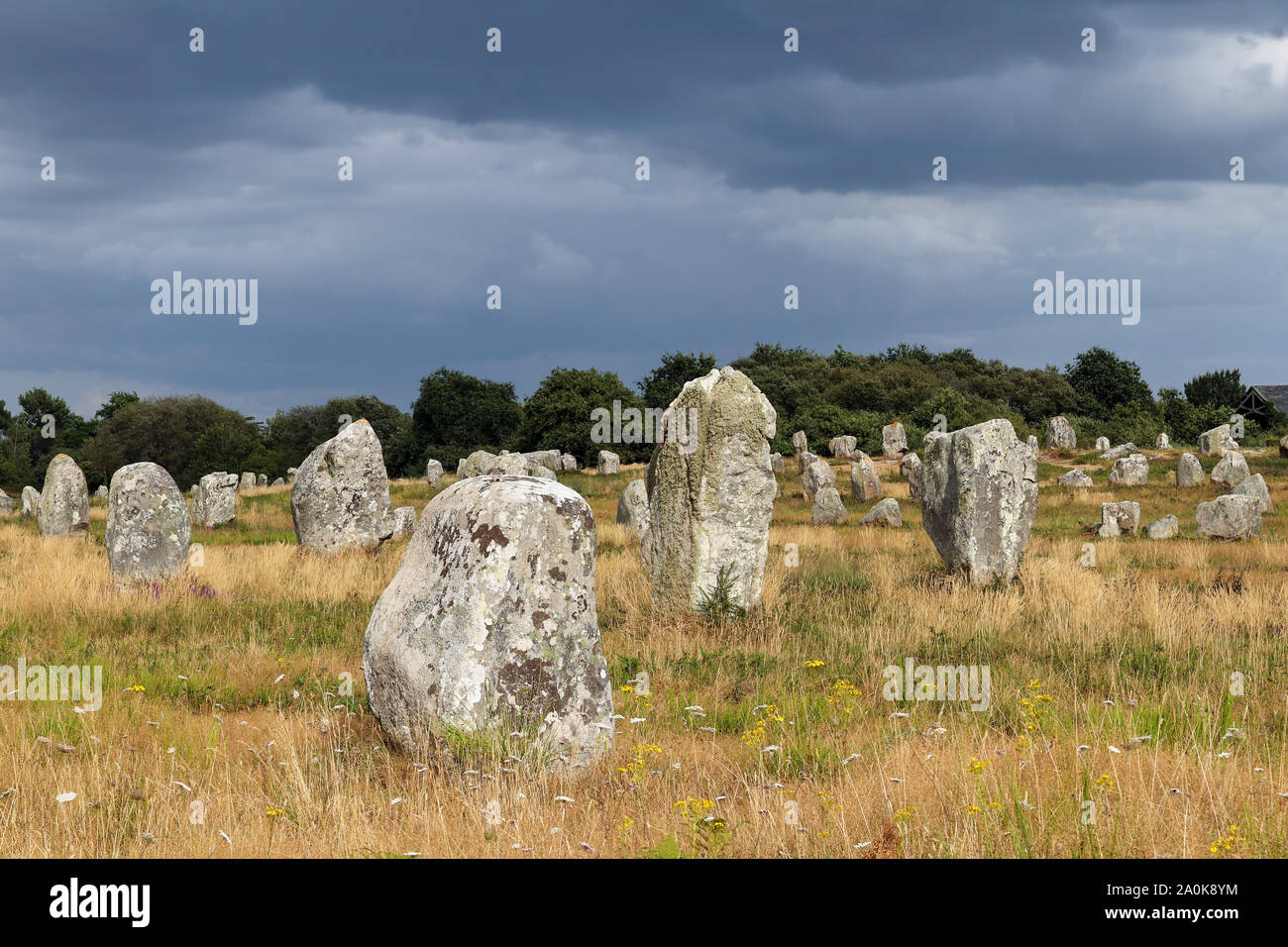 Alignements du Menec - file di menhir - pietre permanente - il più grande sito megalitico nel mondo, Carnac Foto Stock
