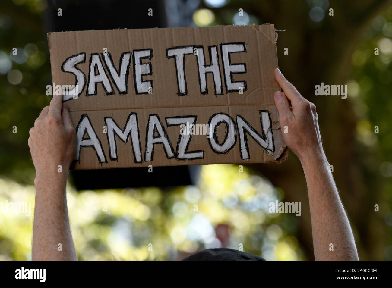 Un manifestante detiene un cartello che dice che per salvare l'amazzonia durante la dimostrazione.per adulti e giovani a piedi al di fuori del lavoro e le scuole a richiesta per un fine all' uso di combustibili fossili e impegnativa azione urgente sul cambiamento climatico per salvare il pianeta. Foto Stock