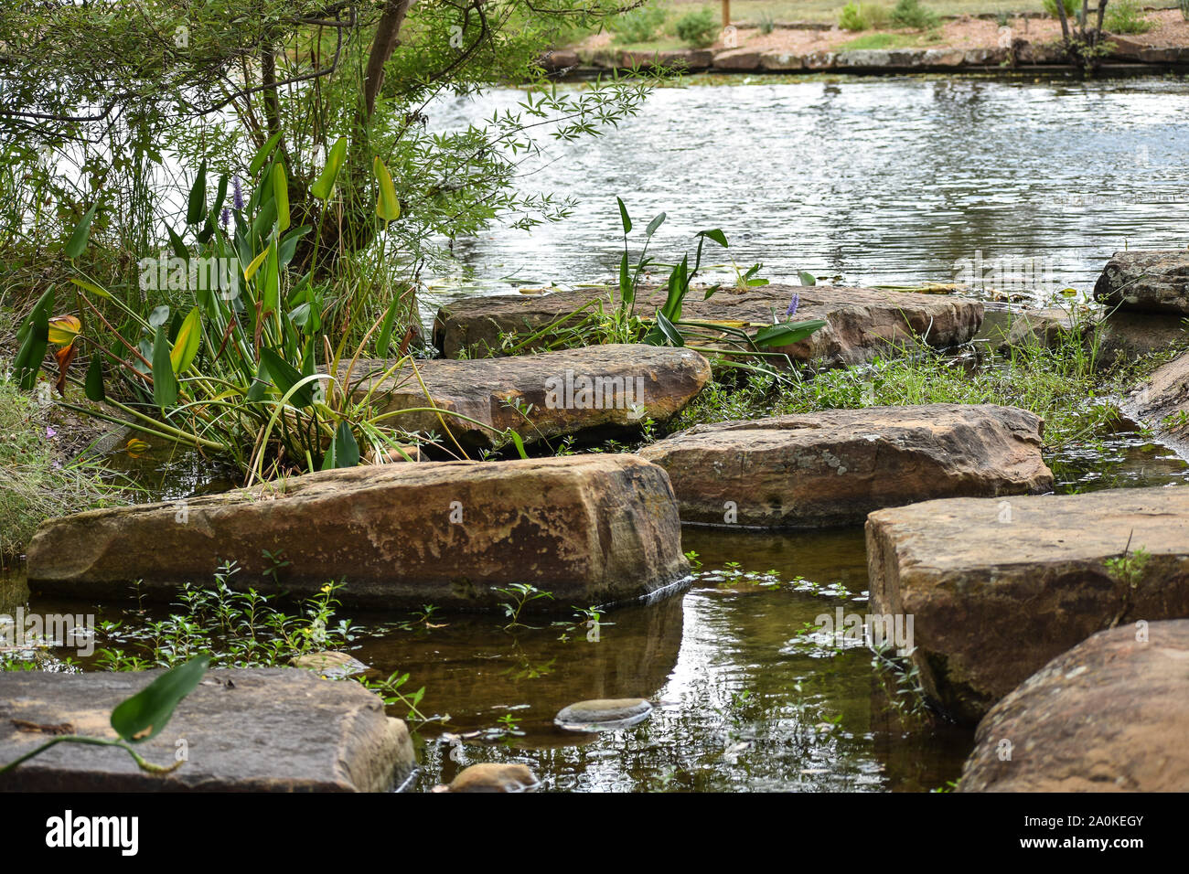 Flusso di bella presso il River Park Legacy Foto Stock