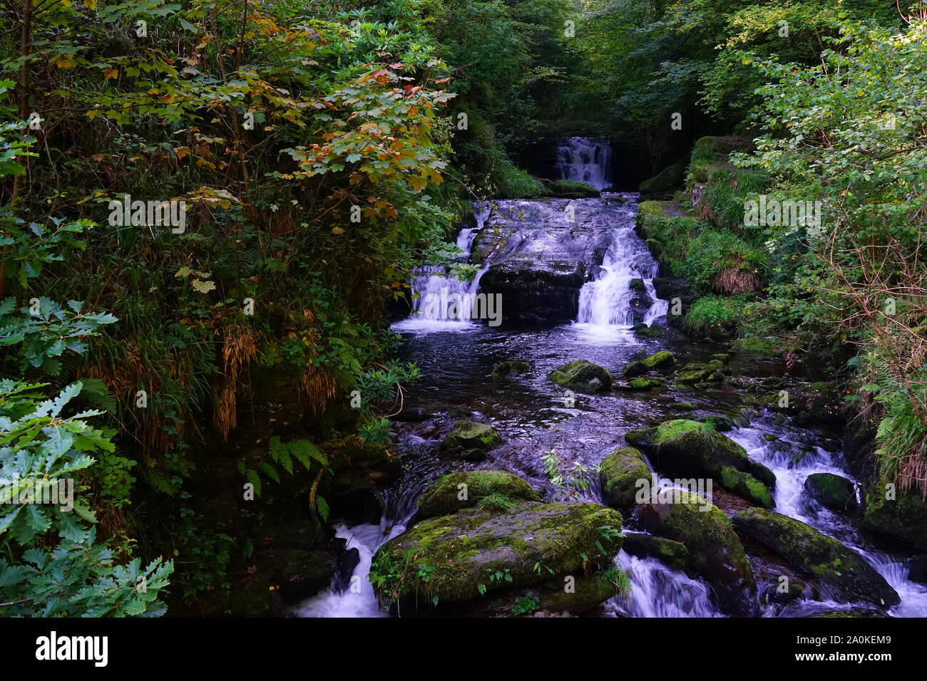 Cascate vicino casa Watersmeet, Exmoor, Devon Foto Stock