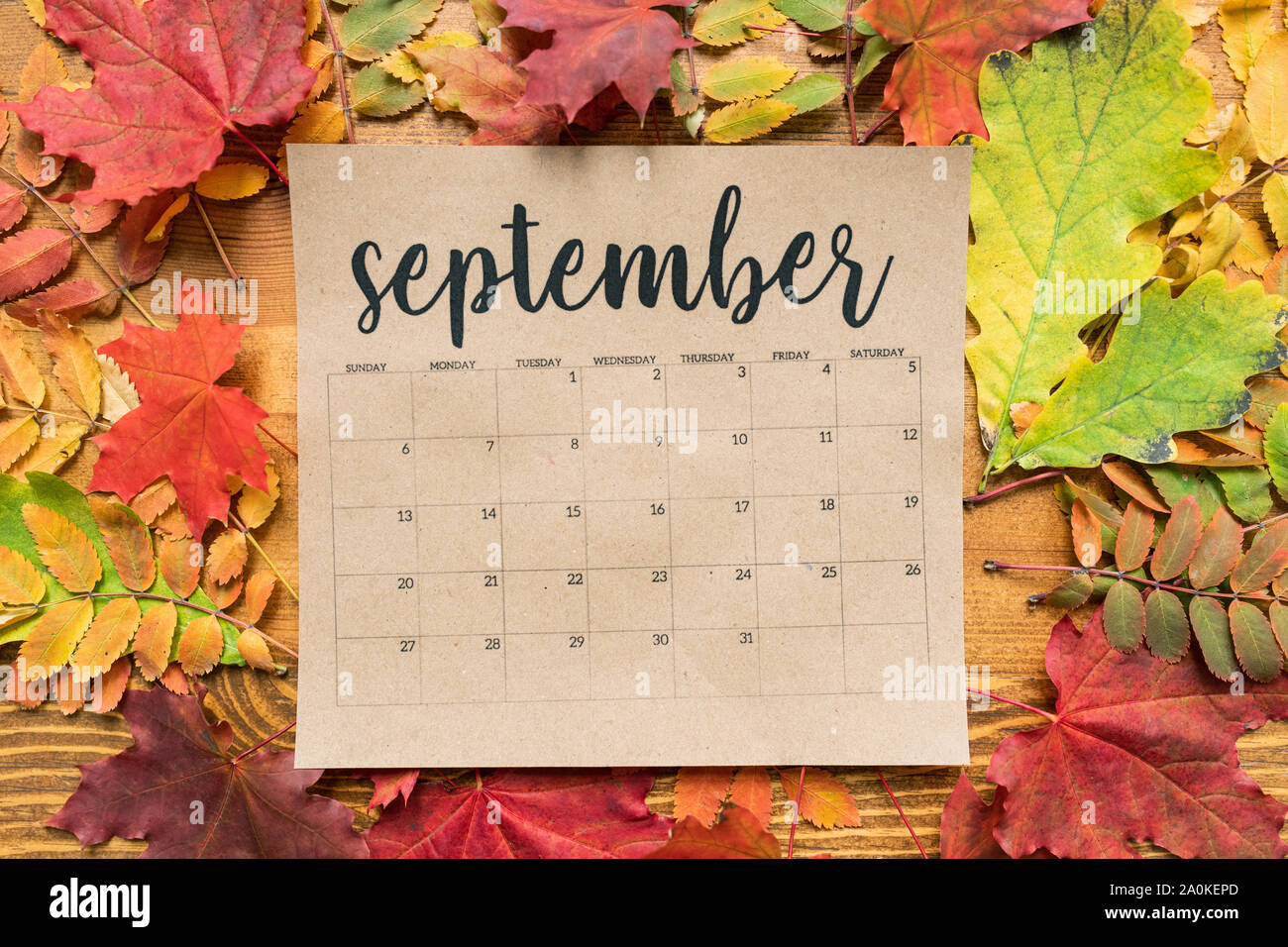 Settembre calendario foglio con foglie di autunno di rosso, giallo e verde  Foto stock - Alamy