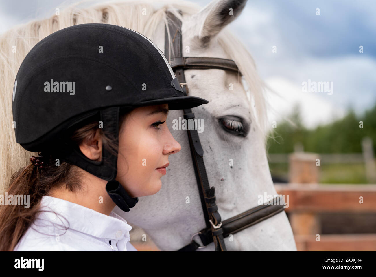 Profilo di giovane donna attiva nel casco equestre e bianco cavallo di razza pura Foto Stock