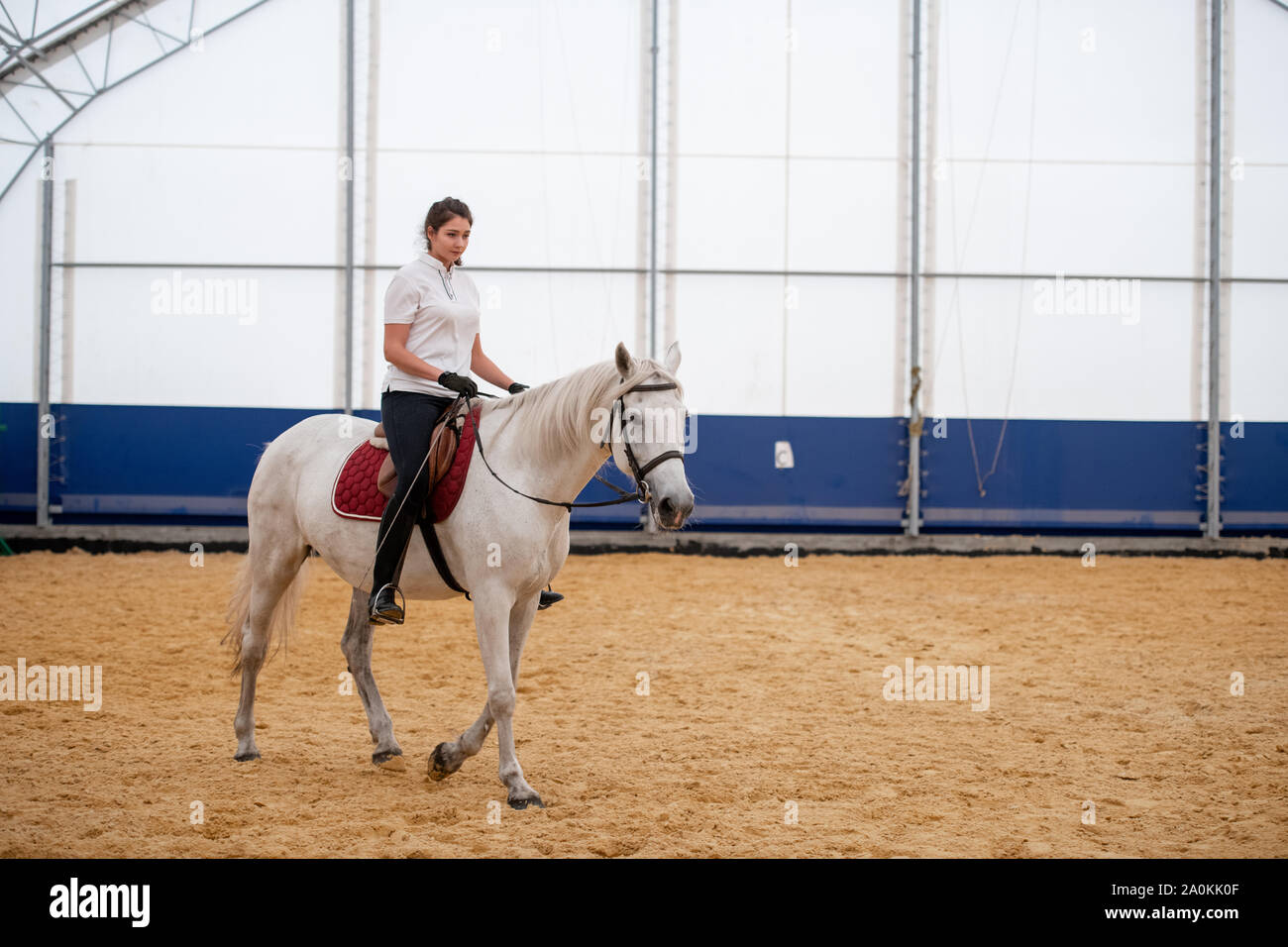 Giovane donna in skinny jeans e white Polo shirt seduto sul retro del cavallo da corsa Foto Stock