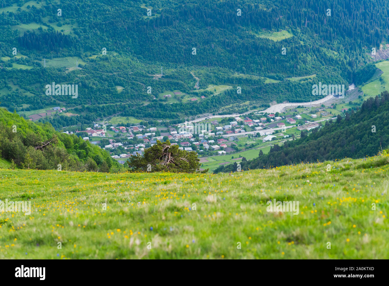 Panorama di una valle dalla cima di una montagna di pascoli e di un albero in primo piano. Vista aerea della parte occidentale di Mestia, Svaneti, Georgia Foto Stock