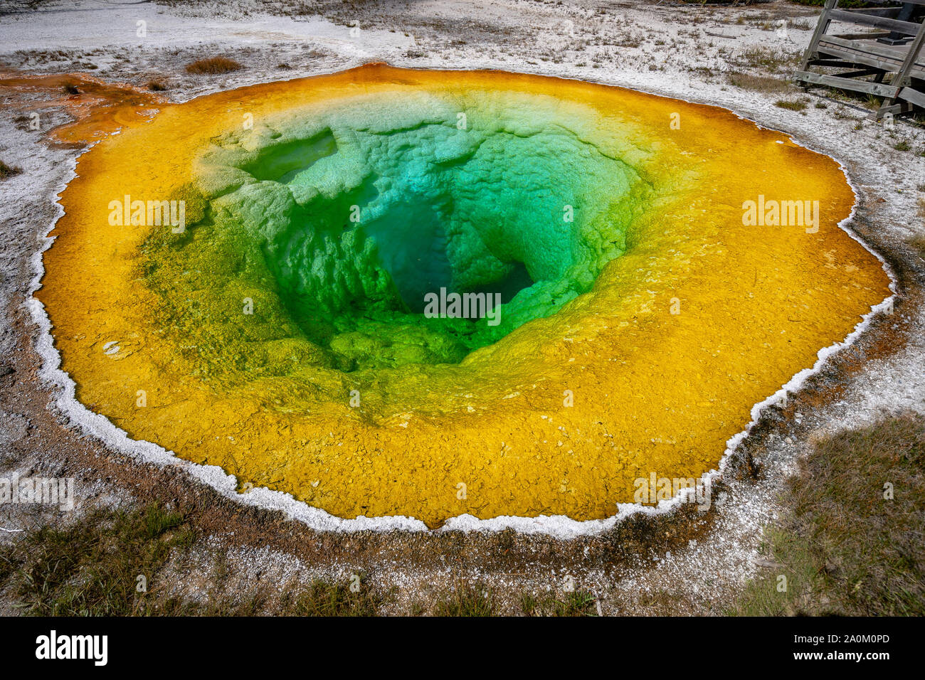 Gloria di mattina piscina nel parco nazionale di Yellowstone, Wyoming USA Foto Stock
