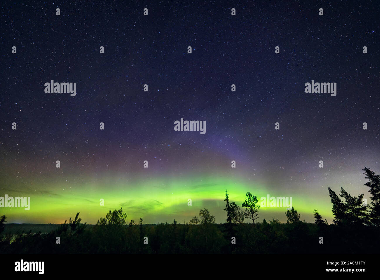 Cielo stellato con luci del nord sulla foresta scura. Paesaggio astronomico Foto Stock