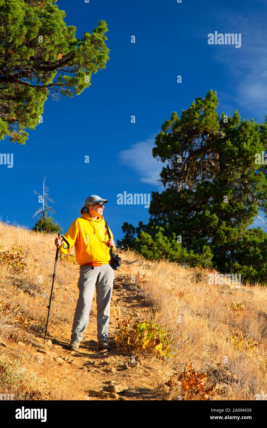 Pacific Crest National Scenic Trail, Cascata Siskiyou monumento nazionale, Oregon Foto Stock