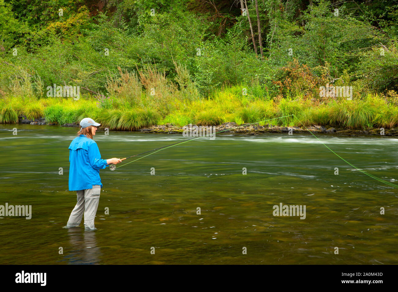 Pesca a mosca Rogue il selvaggio e Scenic River, Medford District Bureau of Land Management, Oregon Foto Stock