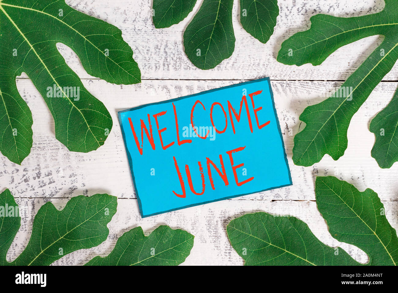 La scrittura della nota mostra Benvenuti giugno. Il concetto di business per calendario sesto mese secondo trimestre trenta giorni dei messaggi di saluto Foto Stock
