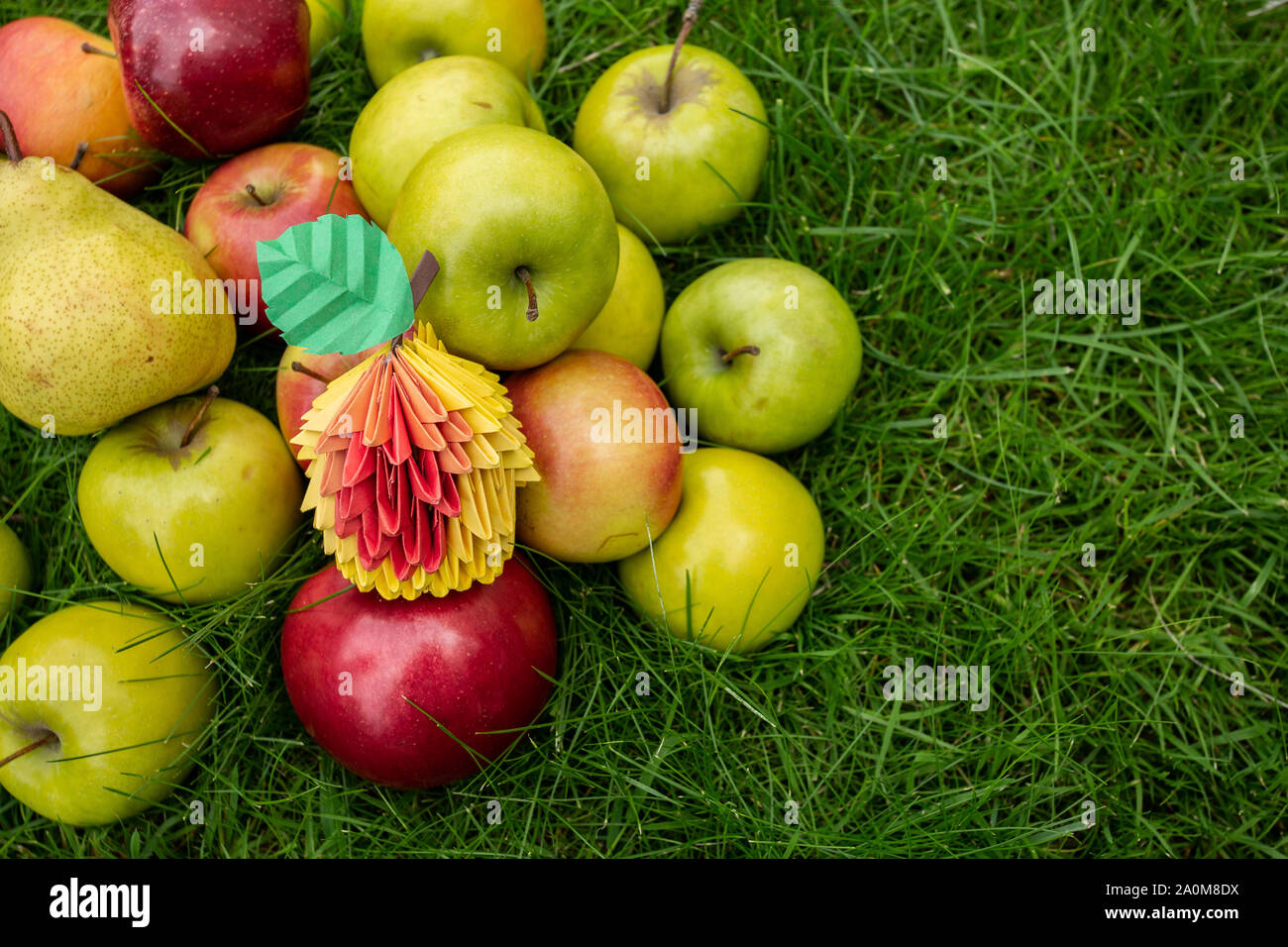 Apple harvest sfondo, cesto di vimini su erba verde, vista dall'alto papercraft origami Arte autunno card Foto Stock
