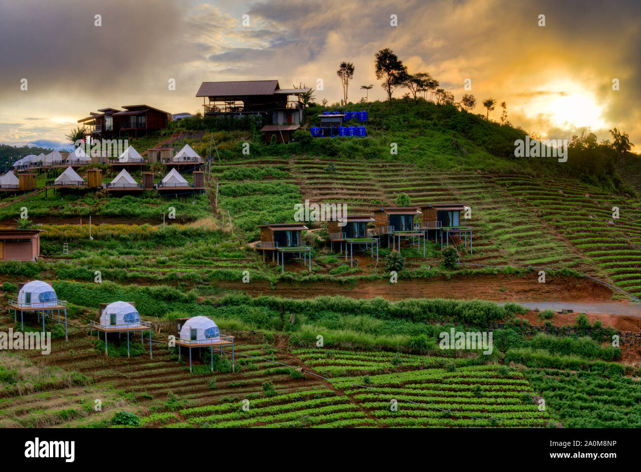 Molti tipi di popolare questo tipo di sistemazione disponibile in Mong marmellata, Chiang Mai, posizionata tra le terrazze di montagna a sunrise. Foto Stock