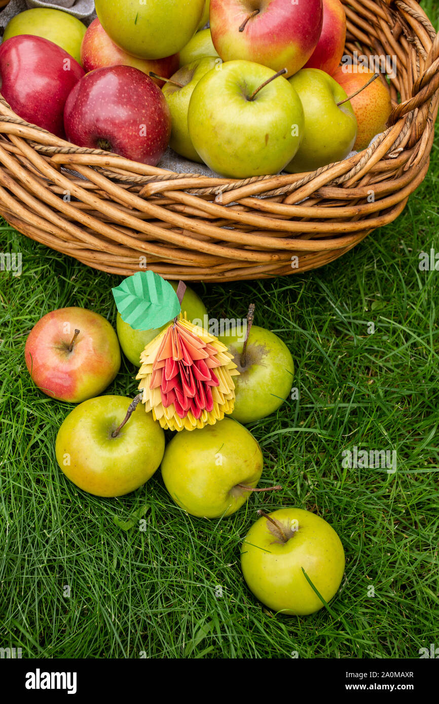 Apple harvest sfondo, cesto di vimini su erba verde, vista dall'alto papercraft origami arte con bacche rosse Foto Stock