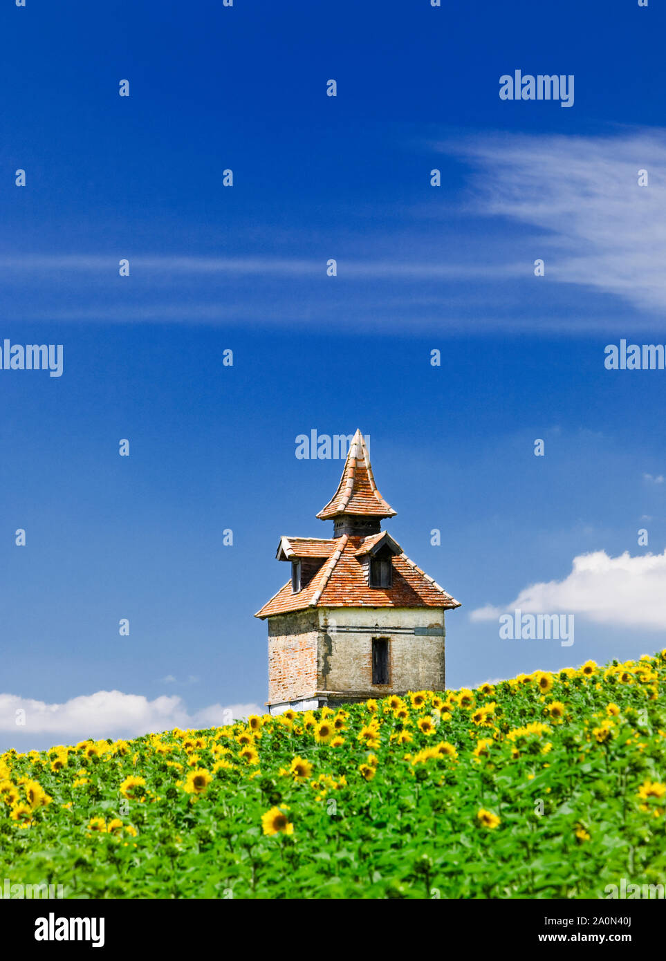 Pigeon loft o Pigeonniere in un campo di girasoli nel sud della Francia, Europa Foto Stock