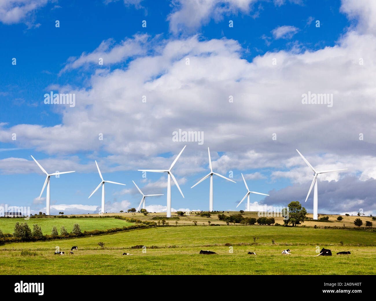 Fattoria eolica, Inghilterra rurale, REGNO UNITO Foto Stock