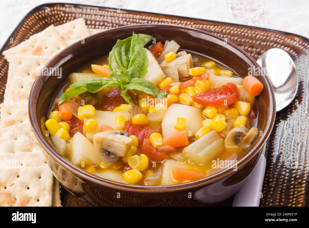 In casa calda zuppa di verdure e servito con croccante saltine cracker in una ciotola marrone. Foto Stock