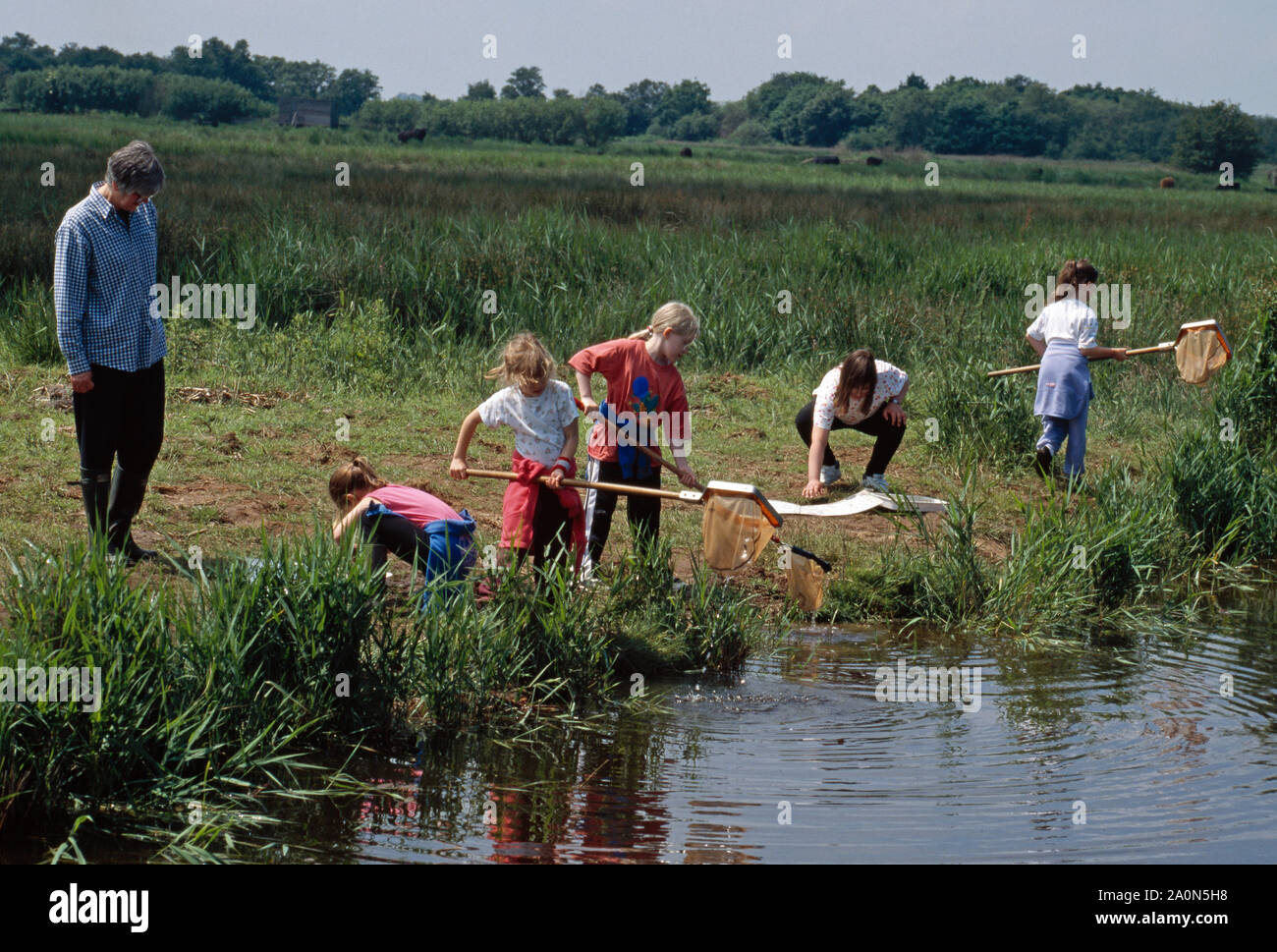 Bambini & STAFF stagno-immersione. Prima scuola gli alunni a fianco di una diga in Hickling Riserva Naturale Nazionale, Norfolk Broads, East Anglia. Foto Stock