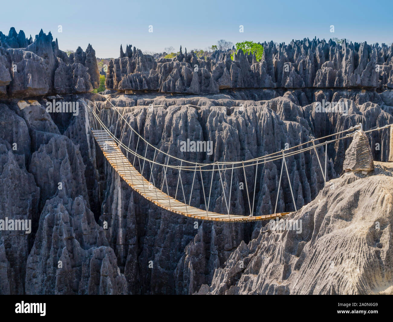 Impressionante ponte sospeso al di sopra del canyon al Tsingy de Bemaraha National Park, Madagascar Foto Stock