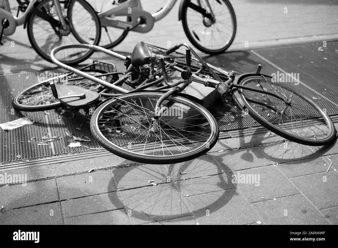 Caduto, Rotterdam Paesi Bassi Foto Stock
