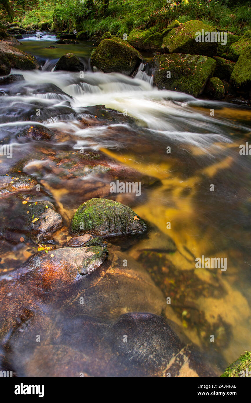 Golitha Falls a Bodmin Moor, Cornwall, Inghilterra Foto Stock