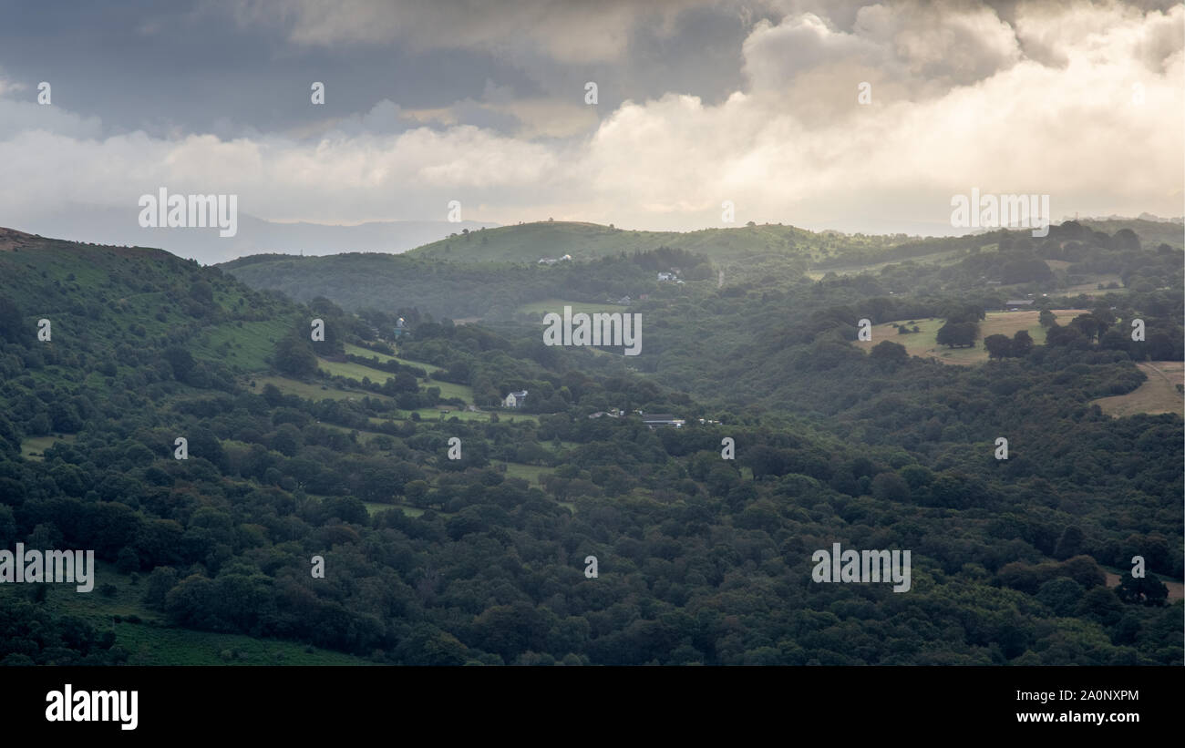 Alba sorge su il bosco e la macchia di Craig yr Allt collina sopra Taff ben vicino a Cardiff. Foto Stock