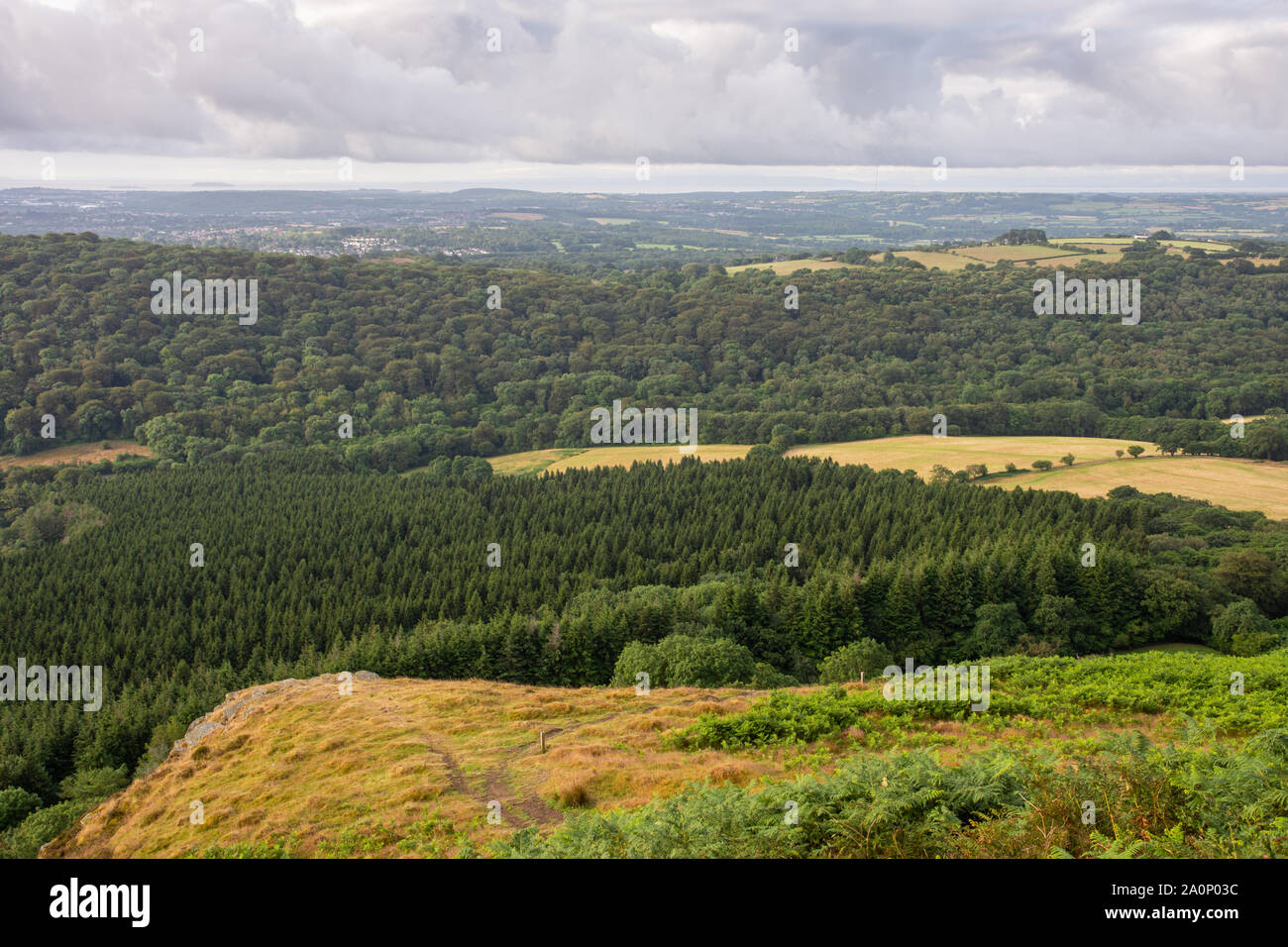 Le foreste e i campi del paesaggio della valle di Glamargan sono stabiliti sotto la Garth montagna nel Galles del Sud. Foto Stock
