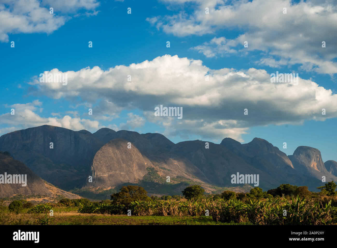 Una gamma di montagna sorge su una lussureggiante vegetazione in Mozambico, Africa Foto Stock