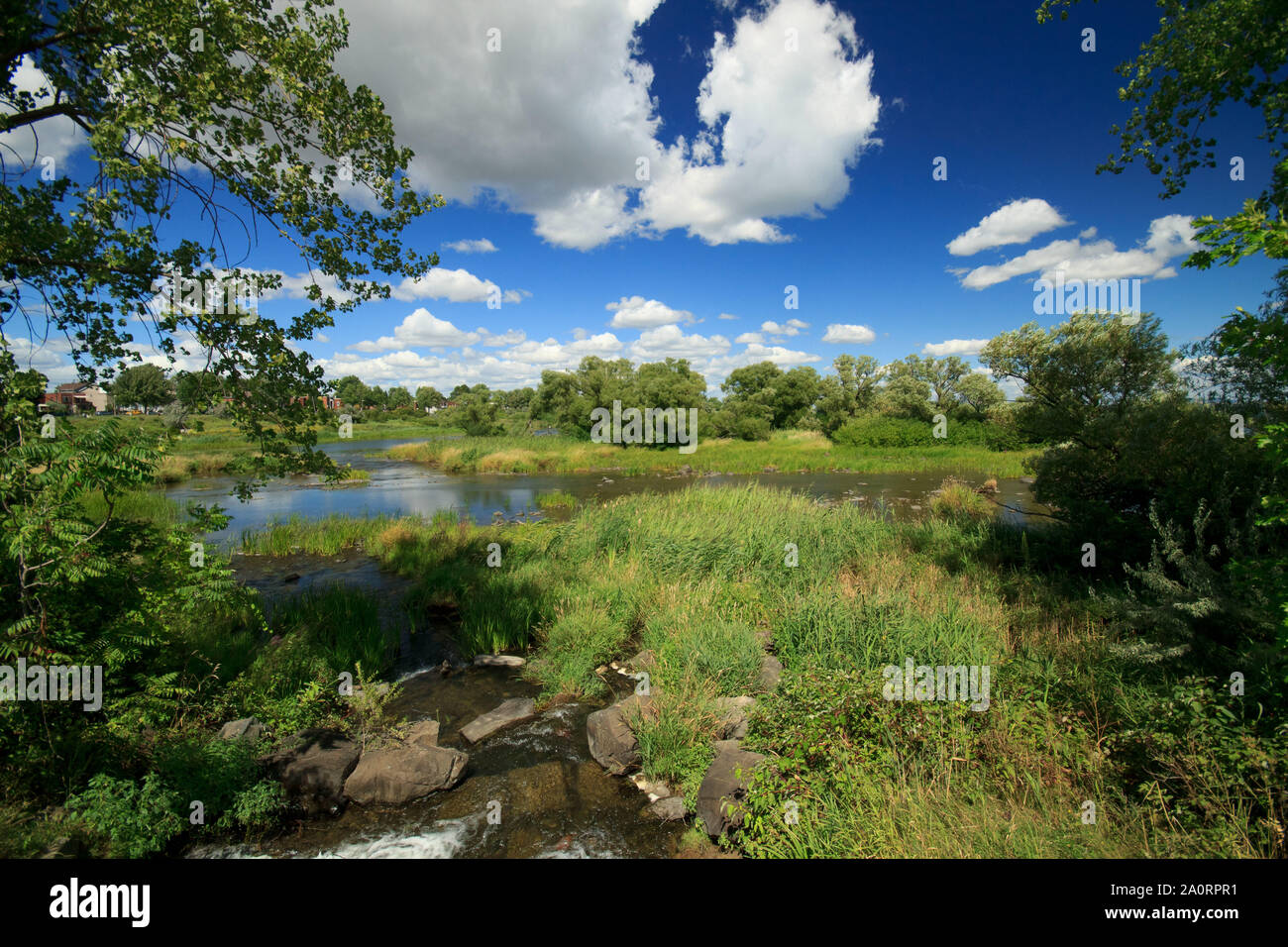 Ampio angolo di paesaggio delle zone umide suburbana a Lachine Rapids Park,Lasalle,Quebec,Canada Foto Stock