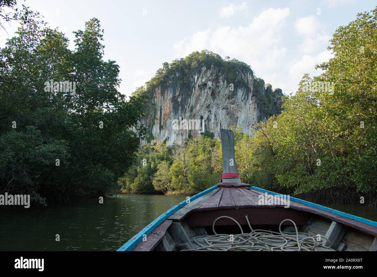 Ampio angolo di paesaggio di Longtail viaggio in barca attraverso Krabi foreste di mangrovie,montagne carsiche,,Krabi Krabi provincia,Thailandia Foto Stock