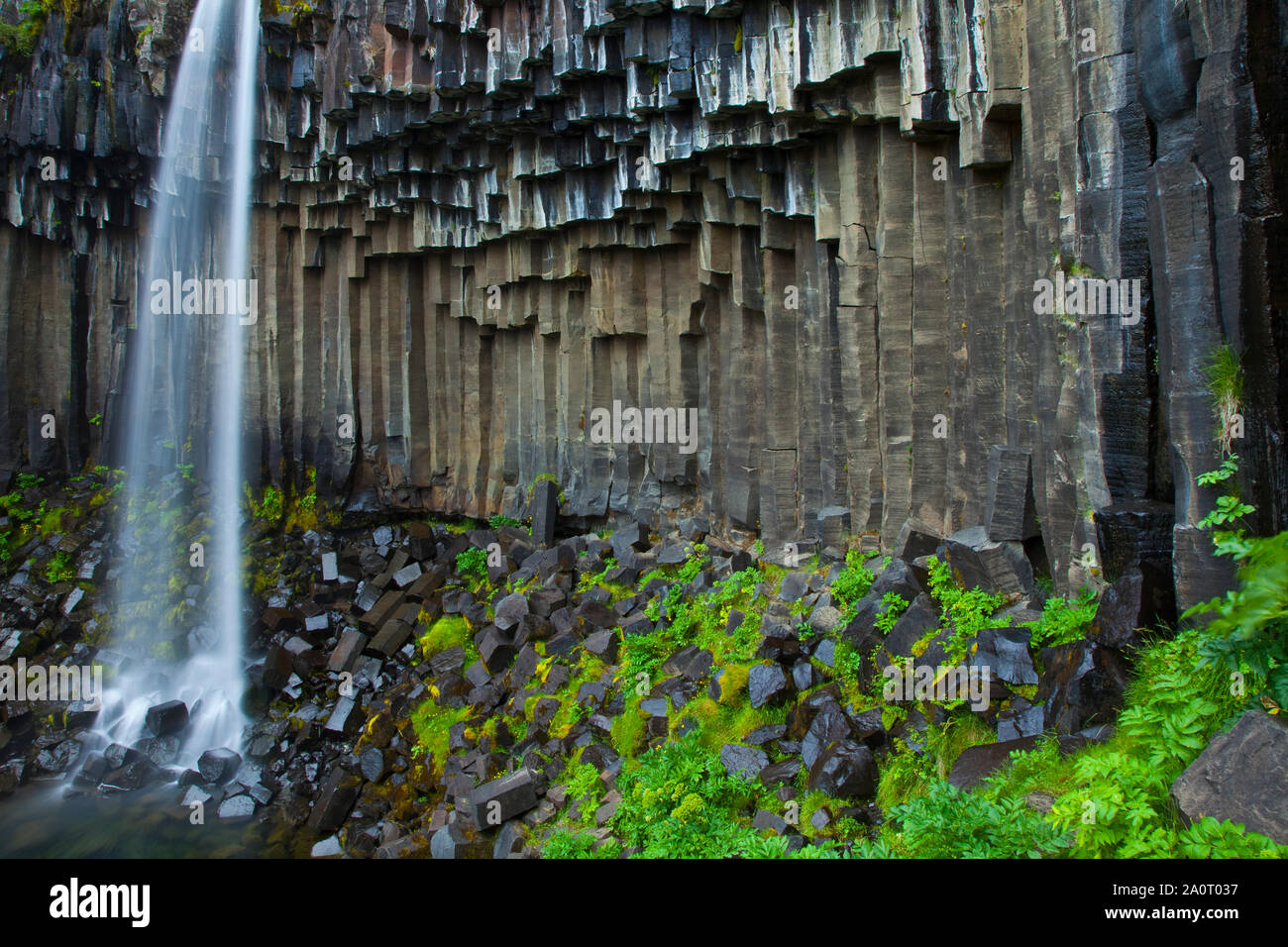 Cascada Svartifoss, Parque Nacional Skaftafell, Islandia Foto Stock