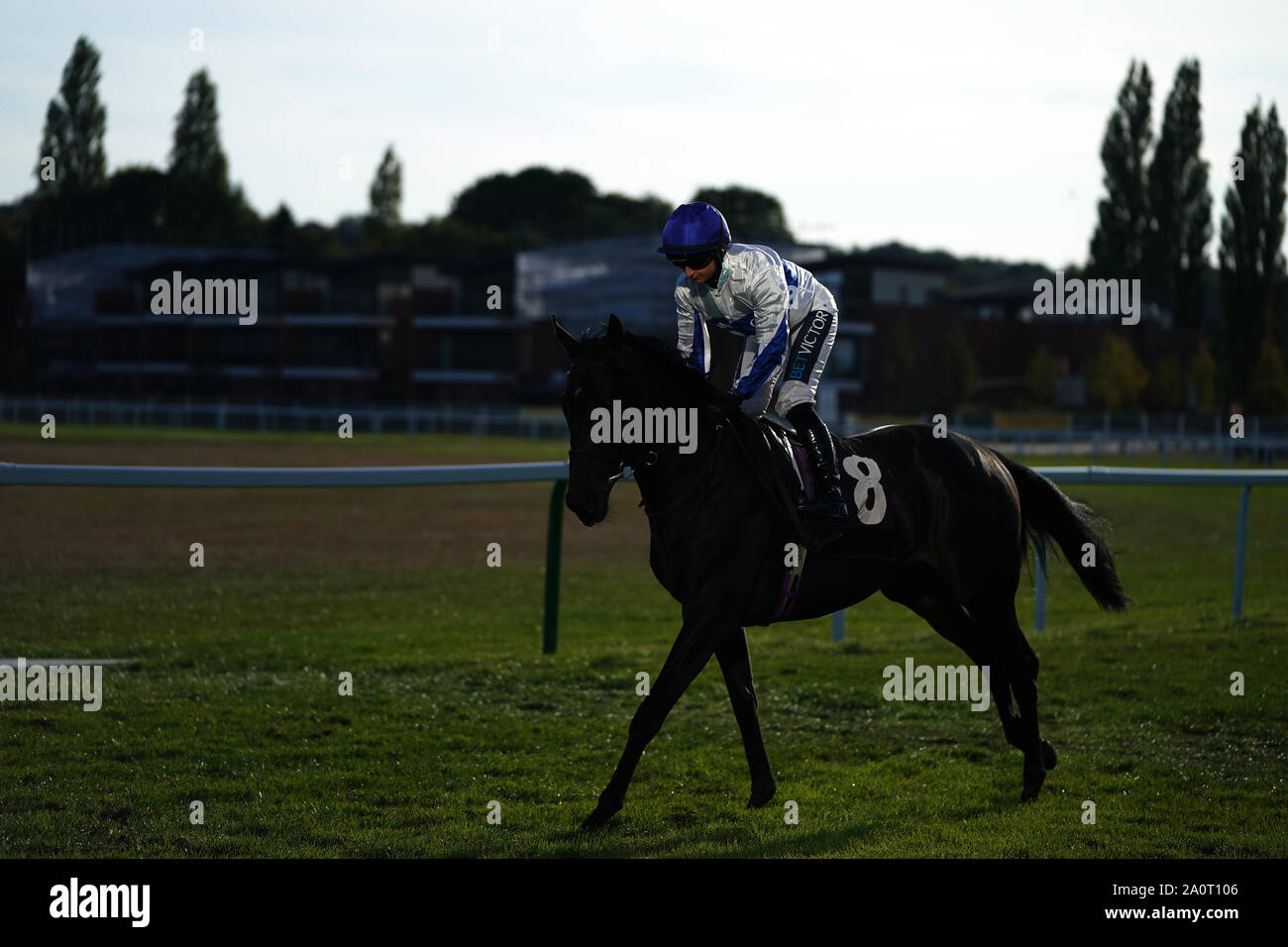 La società valutazione cavalcato da Nicola Currie prima il prigioniero Heatherwold picchetti di Handicap (classe 4) a Newbury Racecourse. Foto Stock