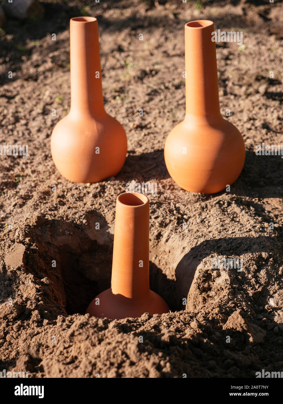 Olla pentole in un giardino come sistema di irrigazione in stagioni asciutte Foto Stock