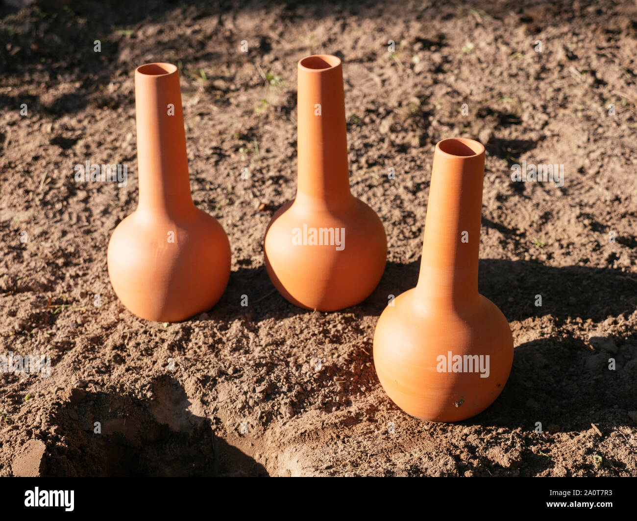 Olla pentole in un giardino come sistema di irrigazione in stagioni asciutte Foto Stock